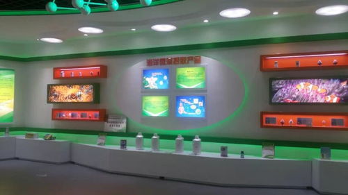 山东与深圳展厅设计及影视策划服务解析